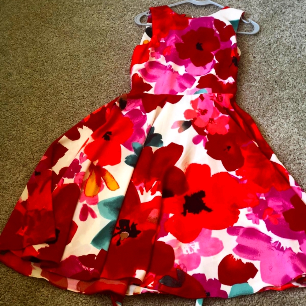 A beautiful Gabby Skye dress